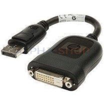 DisplayPort naar DVI adapter