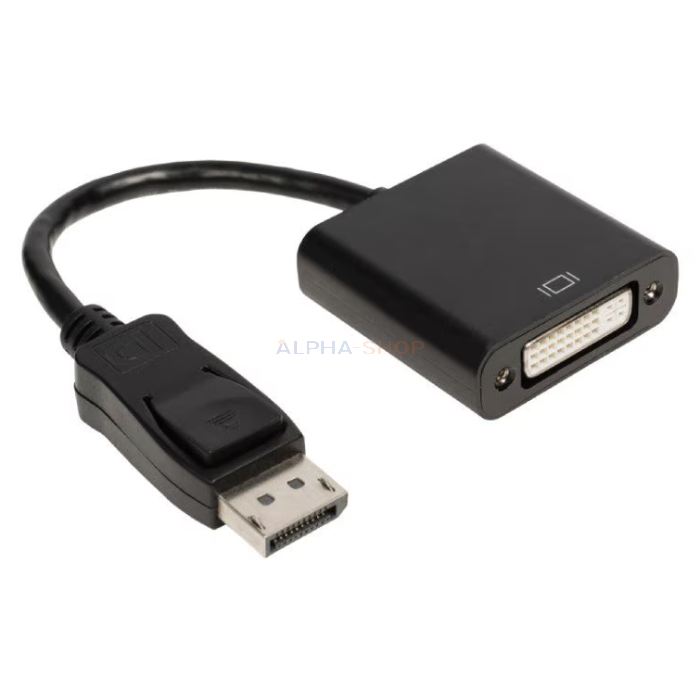 DisplayPort naar DVI Converter