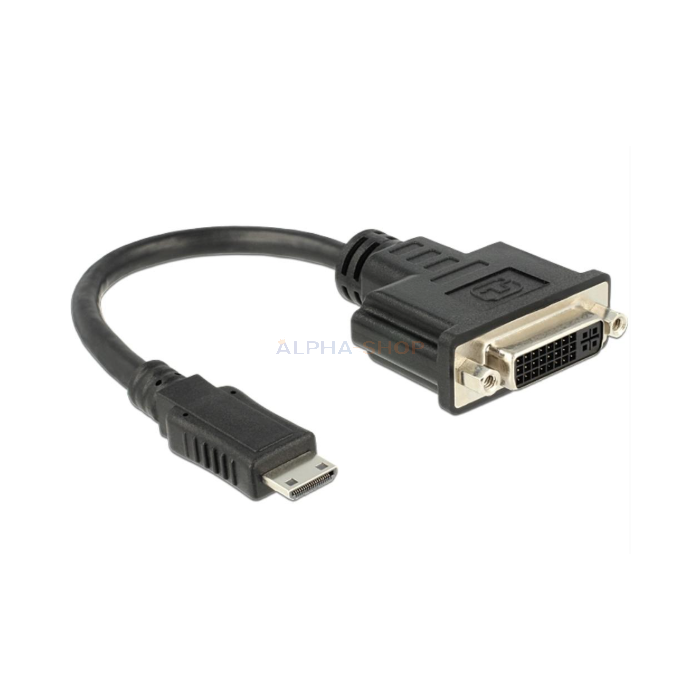 HDMI naar DVI Converter