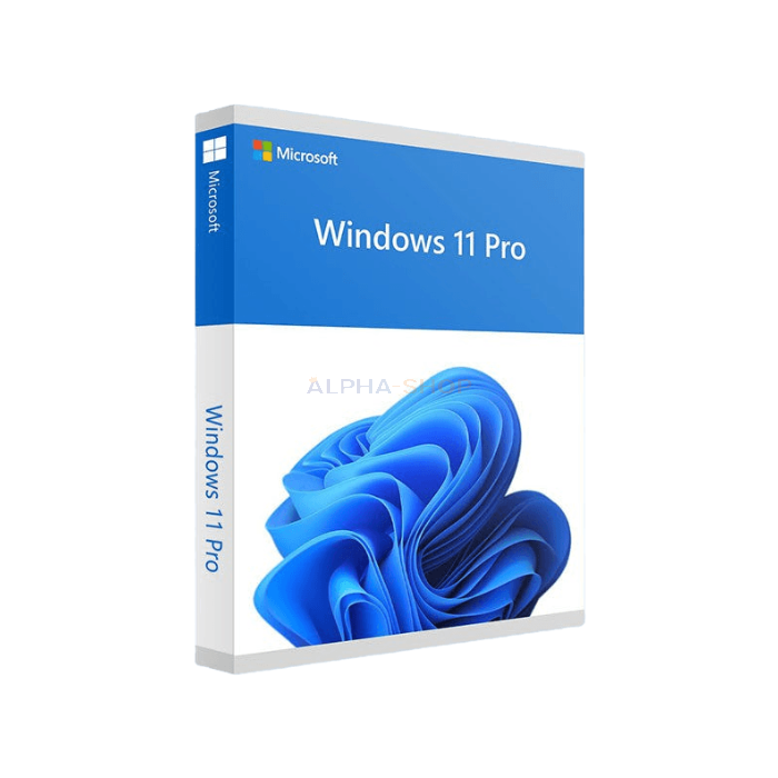 Windows 11 Professional Digitale licentie