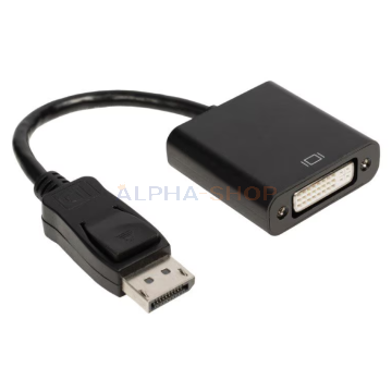 DisplayPort naar DVI Converter